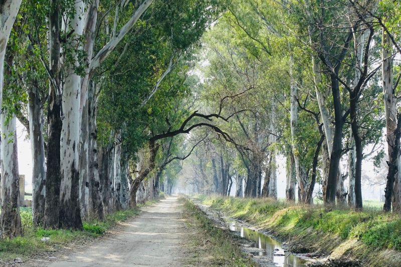 Interventi di tutela eco-sociale 3